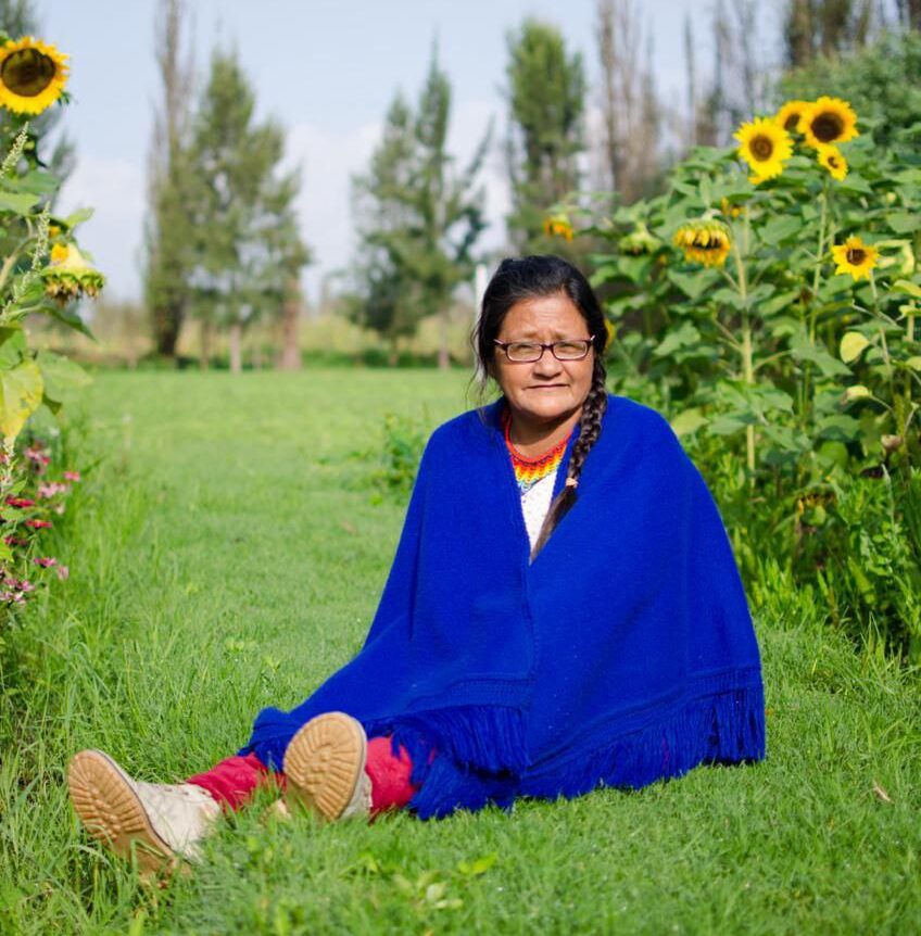 Ayahuasca Retreat Colombia